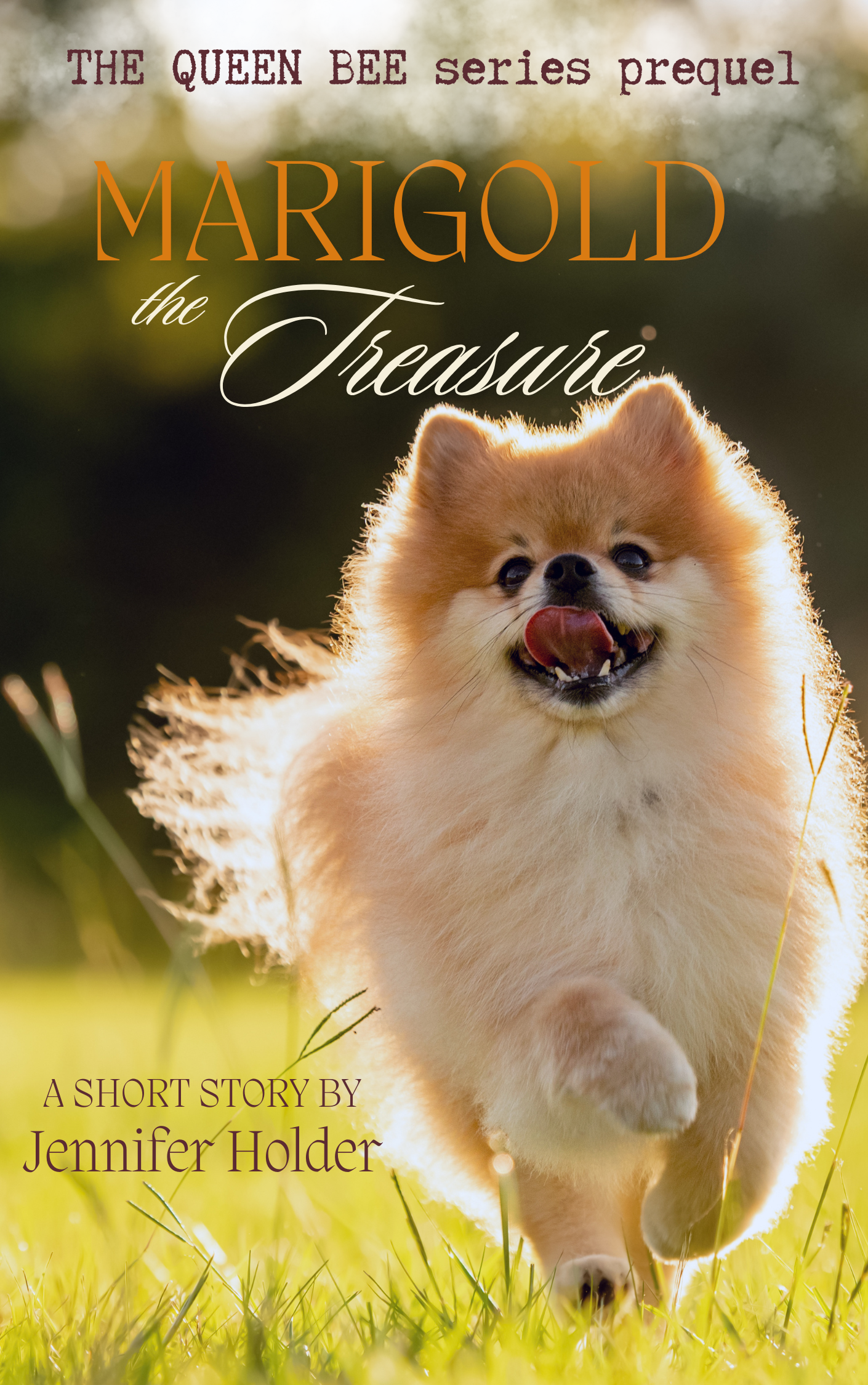 Marigold, the Treasure cover